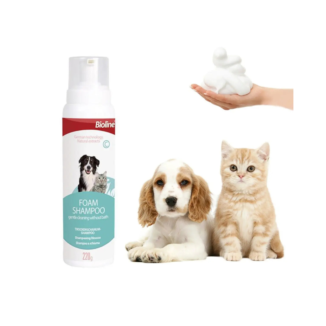 BIOLINE SHAMPOO DE ESPUMA SECA 220G