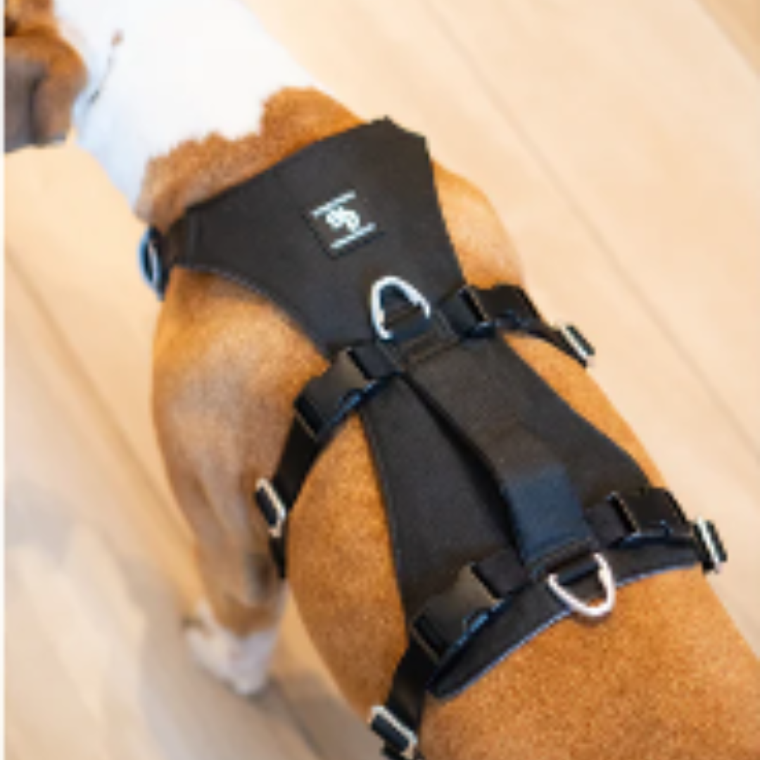 STREET DOGS ARNÉS ANTI-ESCAPE SECURITY FIT PINK