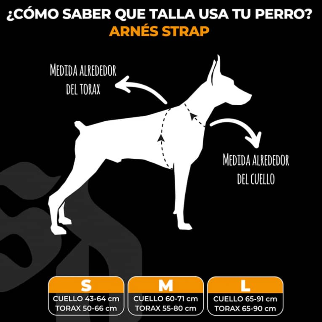 STREET DOGS PERRO ARNÉS STRAP TURQUESE