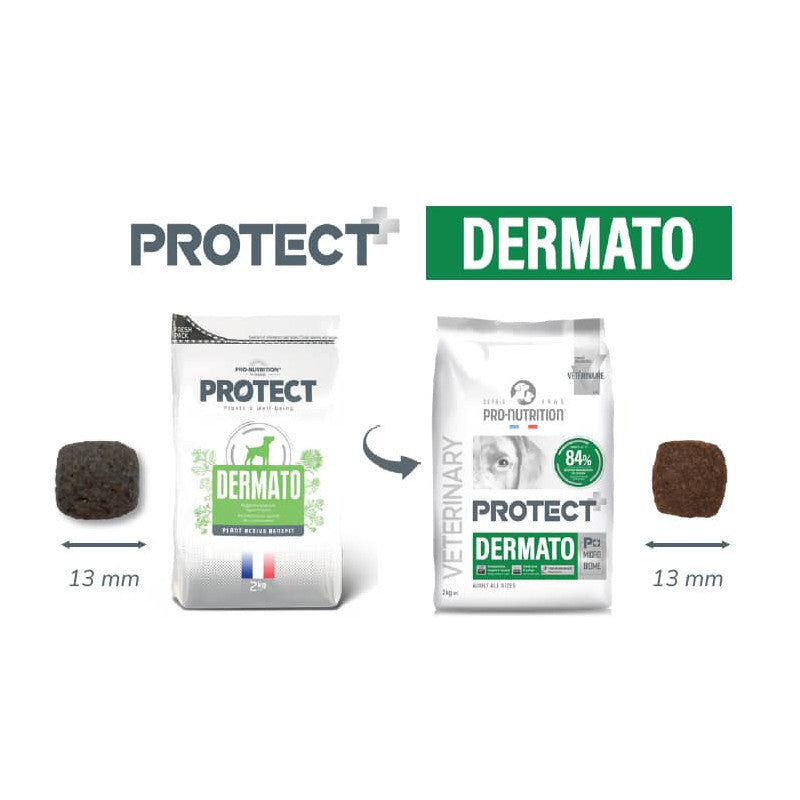 PRO-NUTRITION PERRO PROTECT DERMATO CANINO