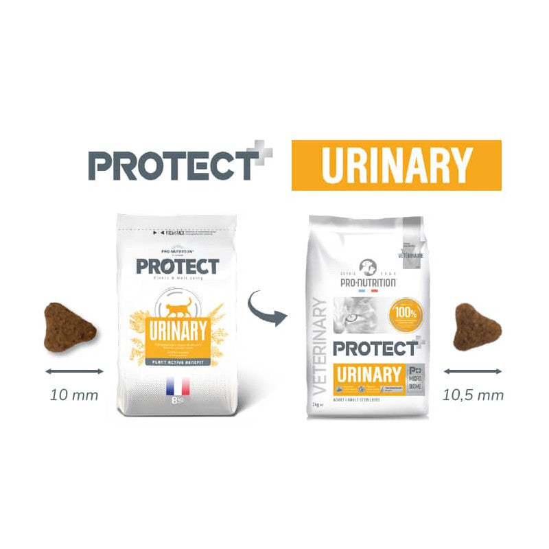 PRO-NUTRITION GATO PROTECT URINARY FELINO 2 KG