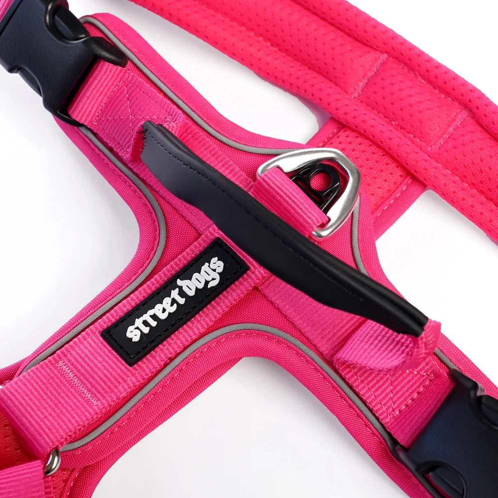 STREET DOGS ARNÉS AEROSPORT PINK