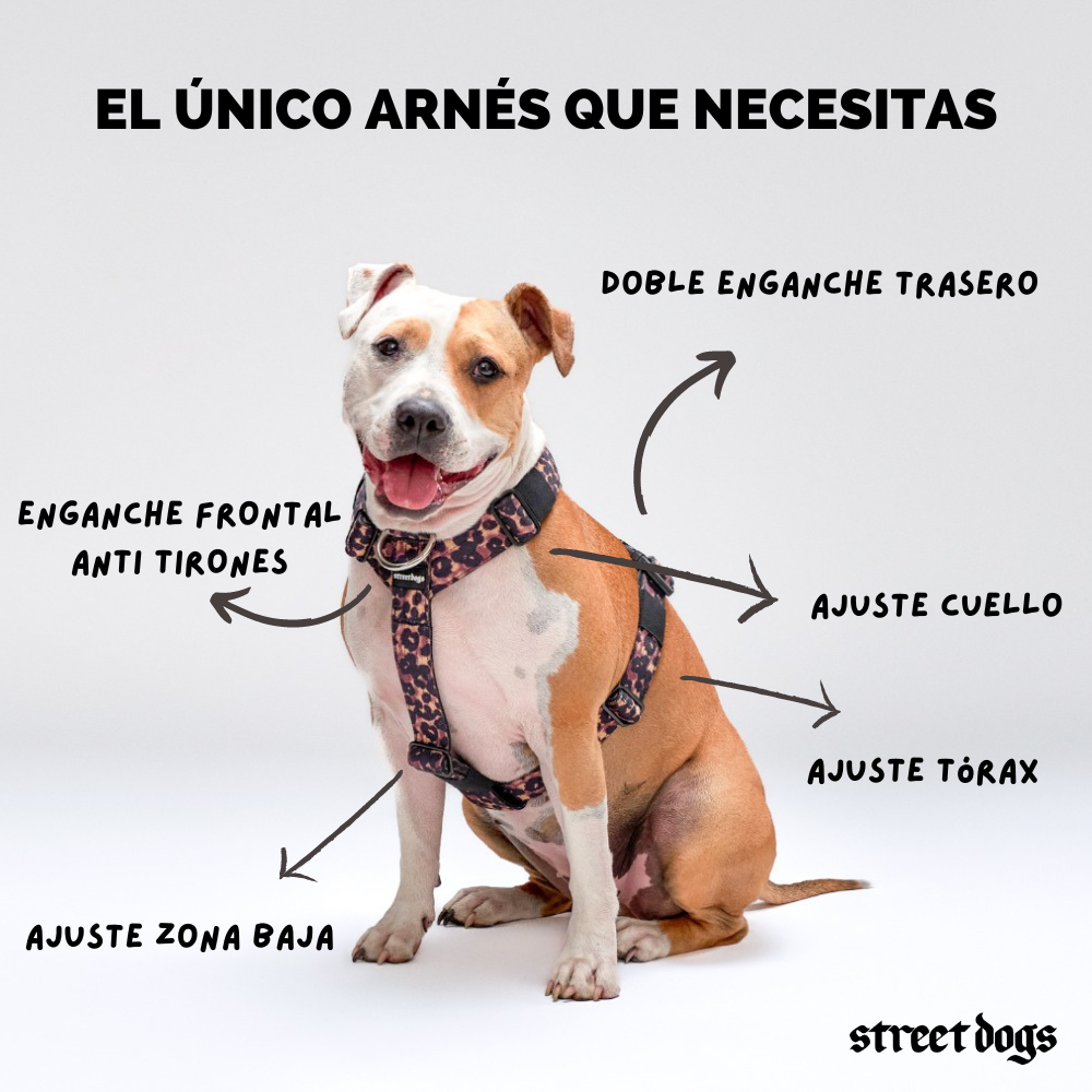 STREET DOGS ARNÉS STRAP ANIMAL PRINT