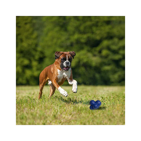 NYLABONE POWER PLAY LANZADOR DE GOMA CRAZY BALL