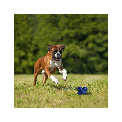 NYLABONE POWER PLAY LANZADOR DE GOMA CRAZY BALL