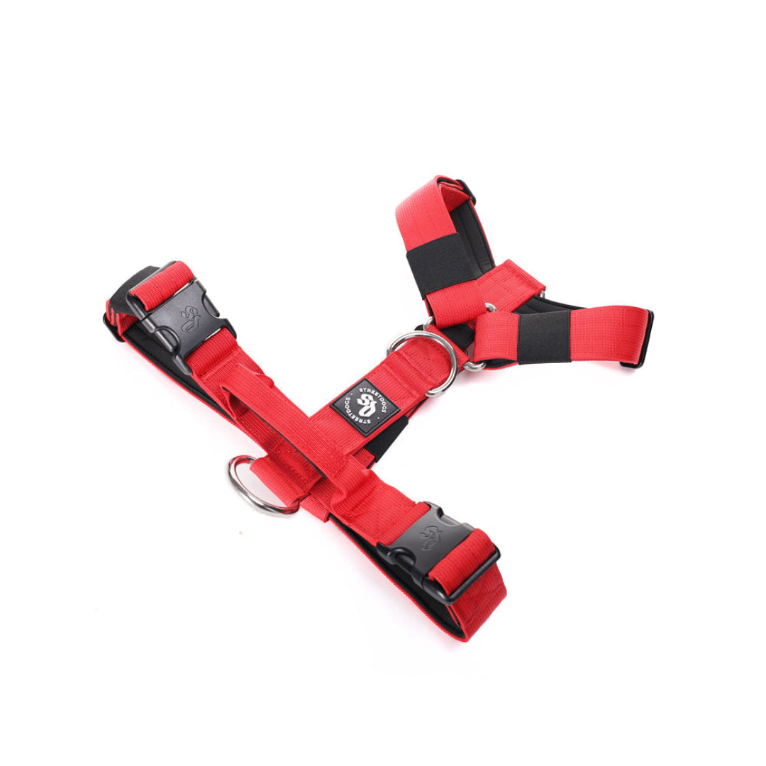 STREET DOGS ARNÉS STRAP RED