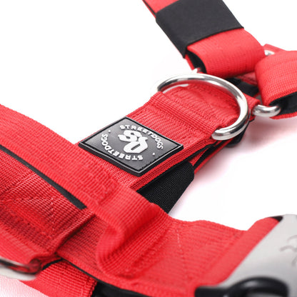 STREET DOGS ARNÉS STRAP RED