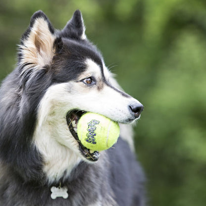 KONG BALL AIR
