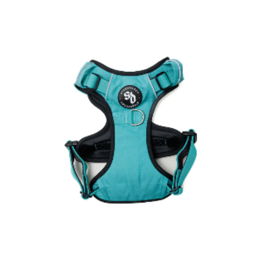 STREET DOGS PERRO ARNÉS COMFORT TURQUESE