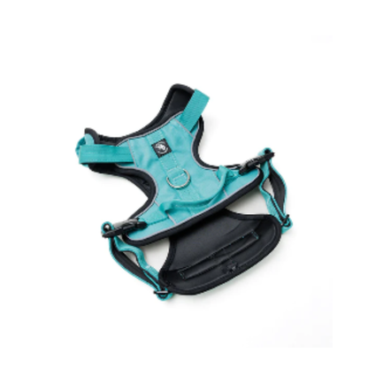 STREET DOGS PERRO ARNÉS COMFORT TURQUESE