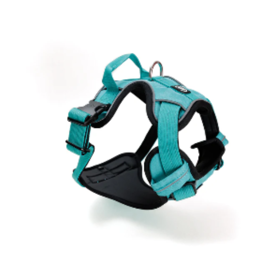 STREET DOGS PERRO ARNÉS COMFORT TURQUESE