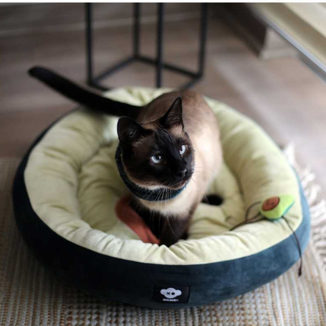 BRNX CAMA PALTA LOVER TALLA M