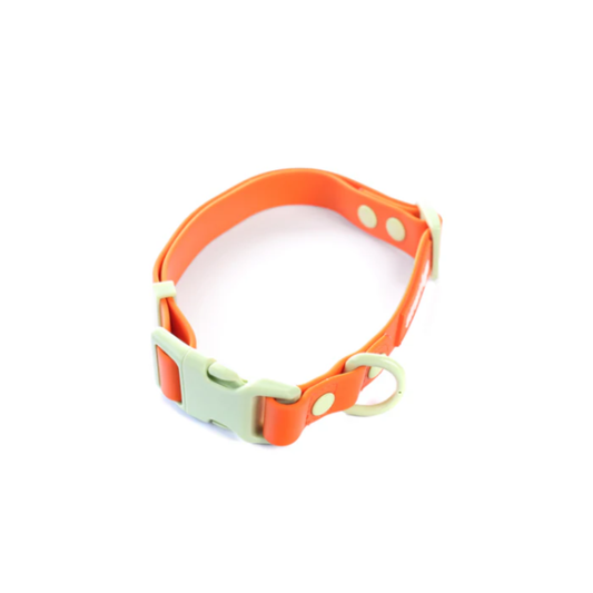 STREET DOGS COLLAR PVC ORANGE