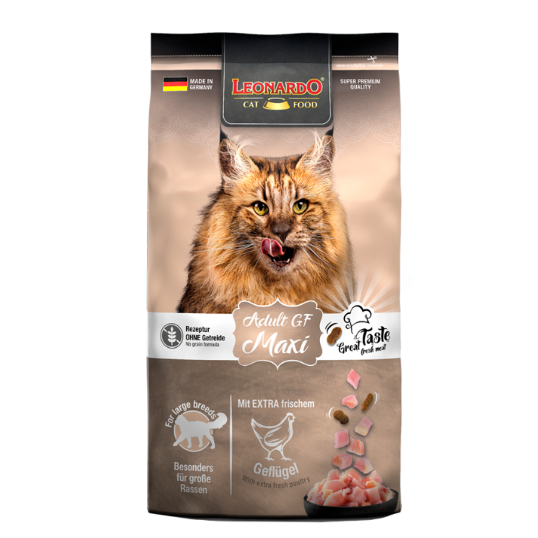 LEONARDO GATO ADULT GF MAXI