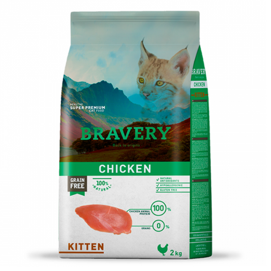 BRAVERY GATO CHICKEN KITTEN