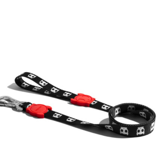 ZEE-DOG PERRO CORREA SKULL 2.0 LEASH