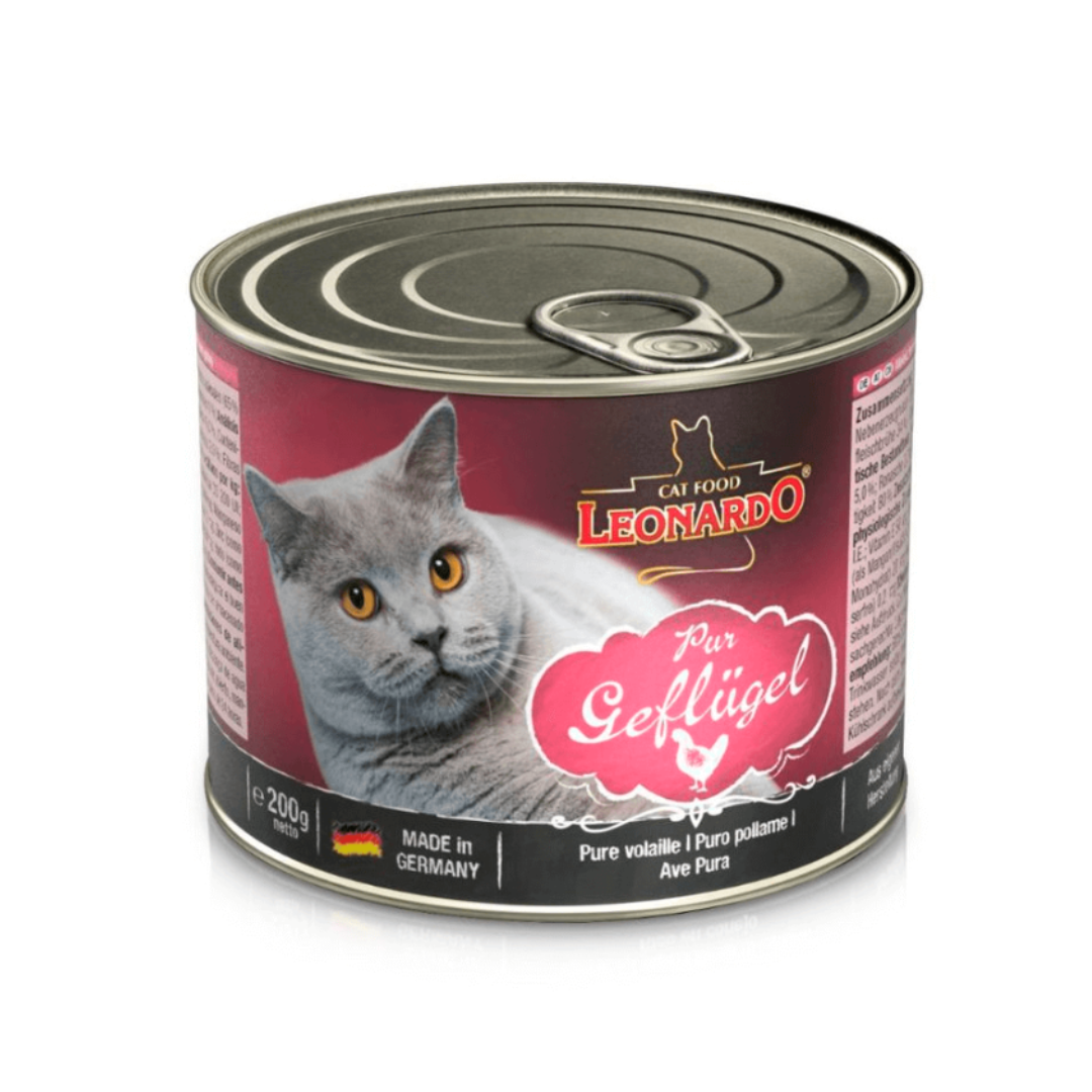 LEONARDO GATO QUALITY SELECTION AVE LATA
