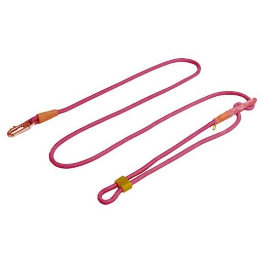 ZEE-DOG PERRO CORREA HANDSFREE LEASH