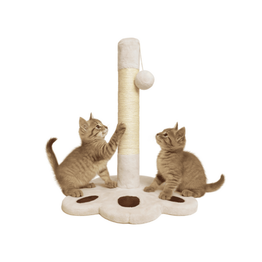 MARBEN PETS GATO RASCADOR PATITA CON PELOTA COLGANTE 30*30*52 CM (KF8039)