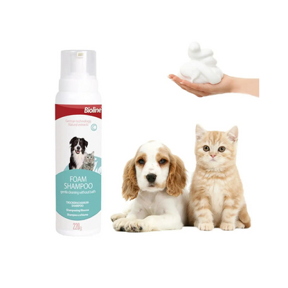 BIOLINE SHAMPOO DE ESPUMA SECA 220G