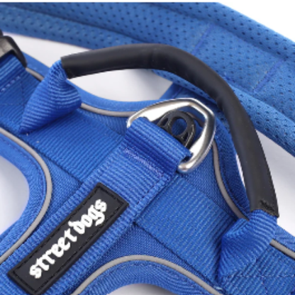STREET DOGS ARNÉS AEROSPORT BLUE