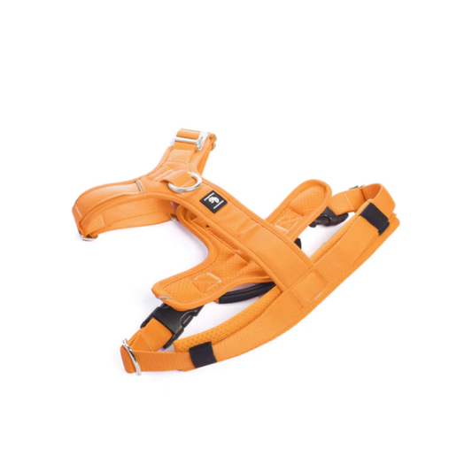 STREET DOGS ARNÉS AEROSPORT ORANGE