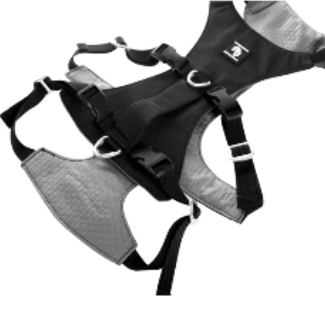 STREET DOGS ARNÉS ANTI-ESCAPE SECURITY FIT BLACK