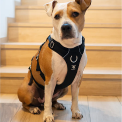 STREET DOGS ARNÉS ANTI-ESCAPE SECURITY FIT PINK