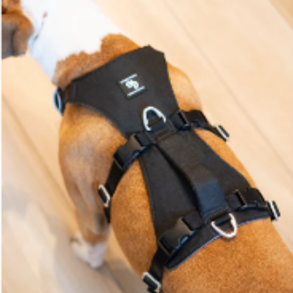 STREET DOGS ARNÉS ANTI-ESCAPE SECURITY FIT PINK