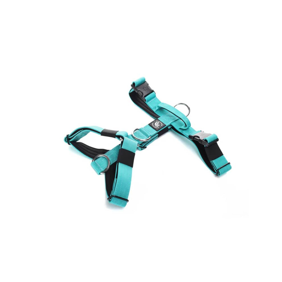 STREET DOGS PERRO ARNÉS STRAP TURQUESE