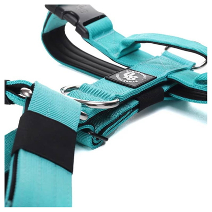 STREET DOGS PERRO ARNÉS STRAP TURQUESE