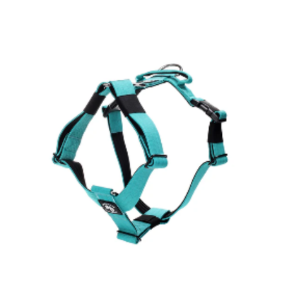 STREET DOGS PERRO ARNÉS STRAP TURQUESE