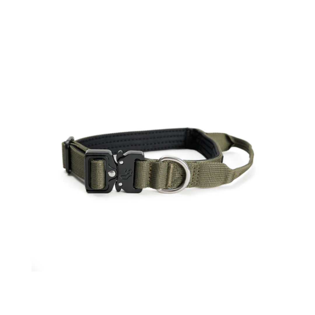 STREET DOGS COLLAR COMBAT 2,5 CM KHAKI