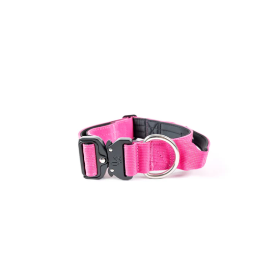 STREET DOGS COLLAR COMBAT 4 CM PINK