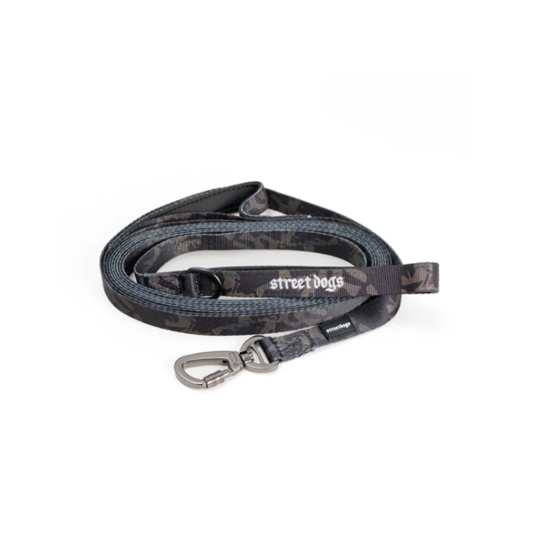 STREET DOGS PERROS CORREA ADIESTRAMIENTO 5 METROS