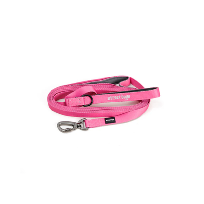 STREET DOGS PERROS CORREA ADIESTRAMIENTO 5 METROS