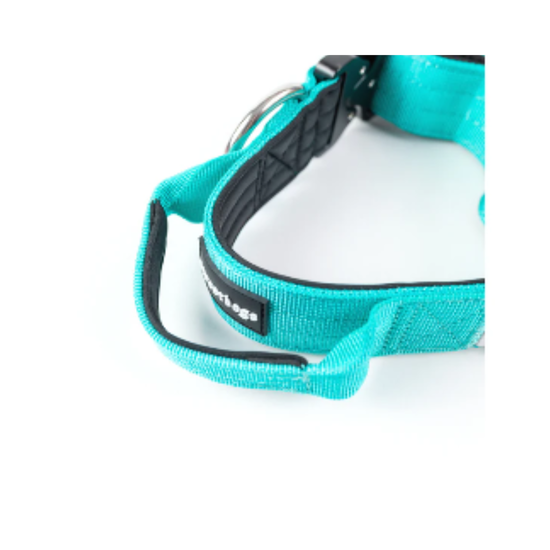 STREET DOGS PERROS COLLAR COMBAT 4 CM TURQUESE