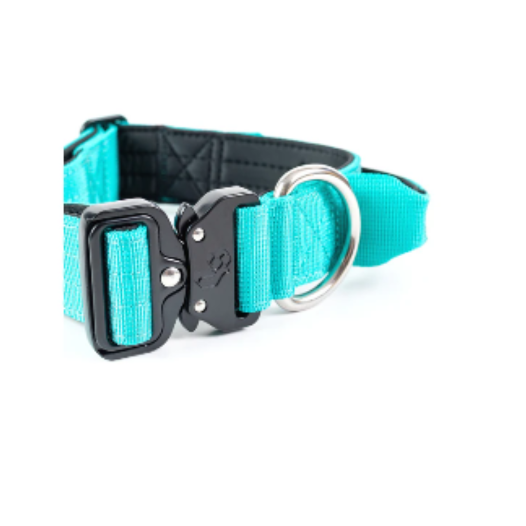 STREET DOGS PERROS COLLAR COMBAT 4 CM TURQUESE
