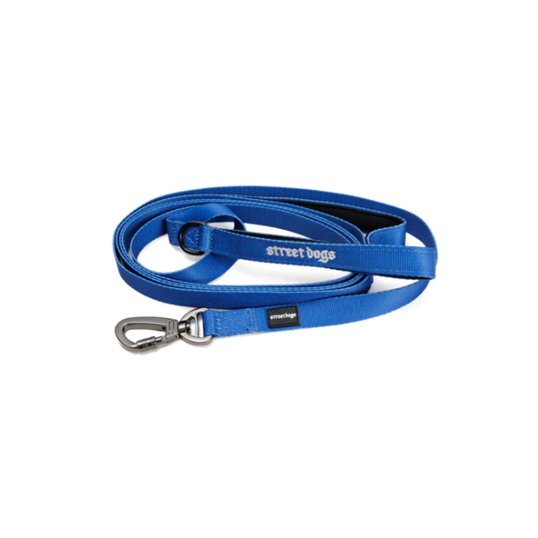 STREET DOGS PERROS CORREA ADIESTRAMIENTO 5 METROS