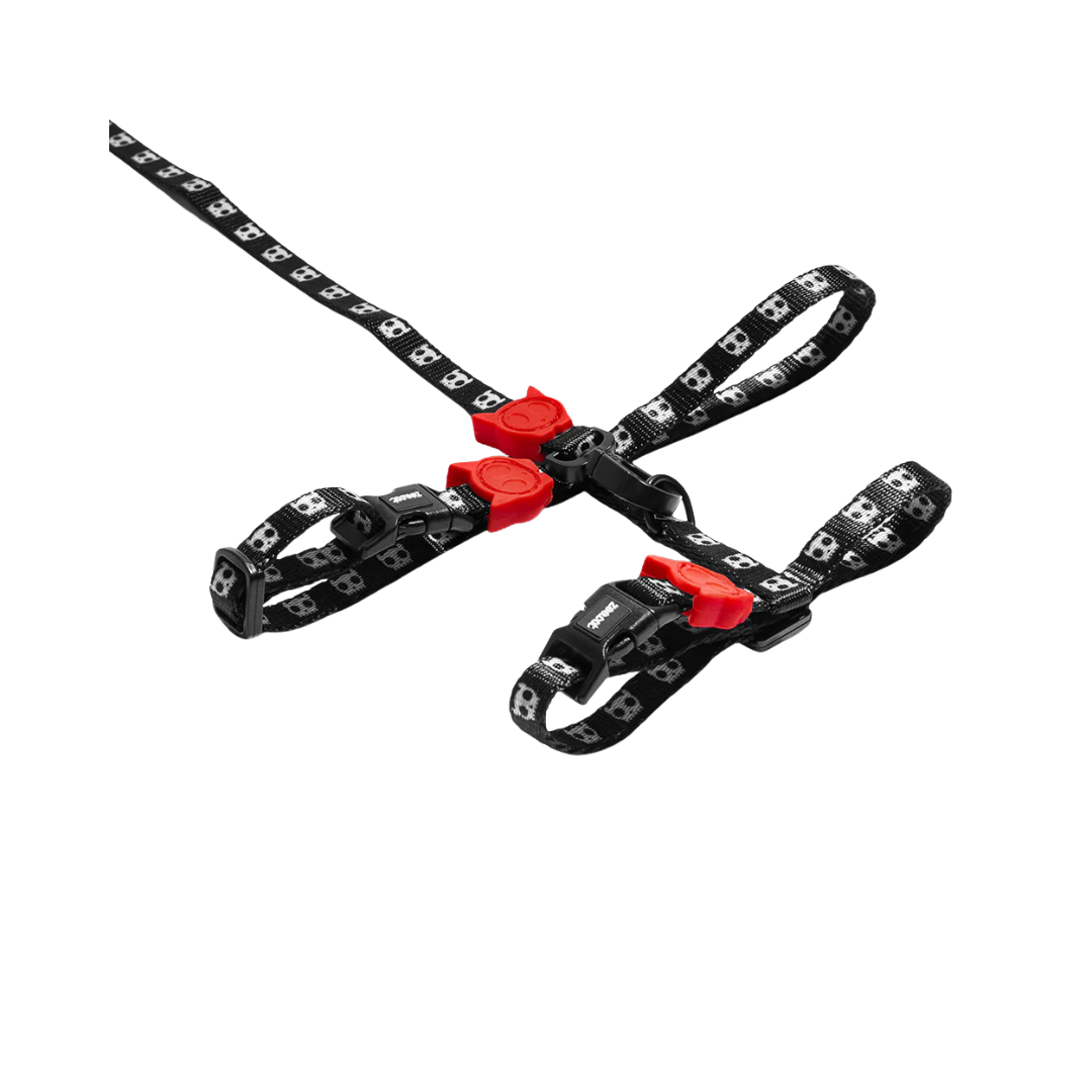 ZEE-CAT SKULL 2.0 HARNESS + LEASH SET