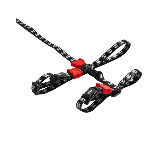 ZEE-CAT SKULL 2.0 HARNESS + LEASH SET