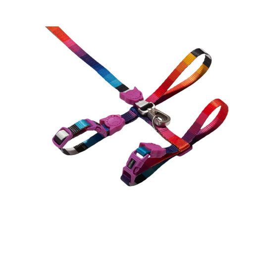 ZEE.CAT PRISMA HARNESS + LEASH SET