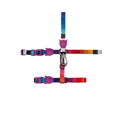 ZEE.CAT PRISMA HARNESS + LEASH SET