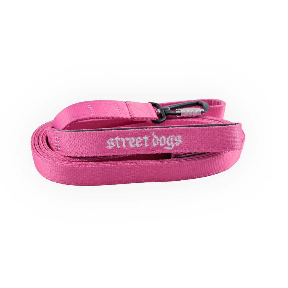 STREET DOGS CORREA LARGA MOSQUETÓN AUTOMÁTICO 3 METROS