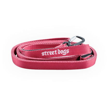 STREET DOGS PERROS CORREA LARGA MOSQUETÓN AUTOMÁTICO 5 METROS