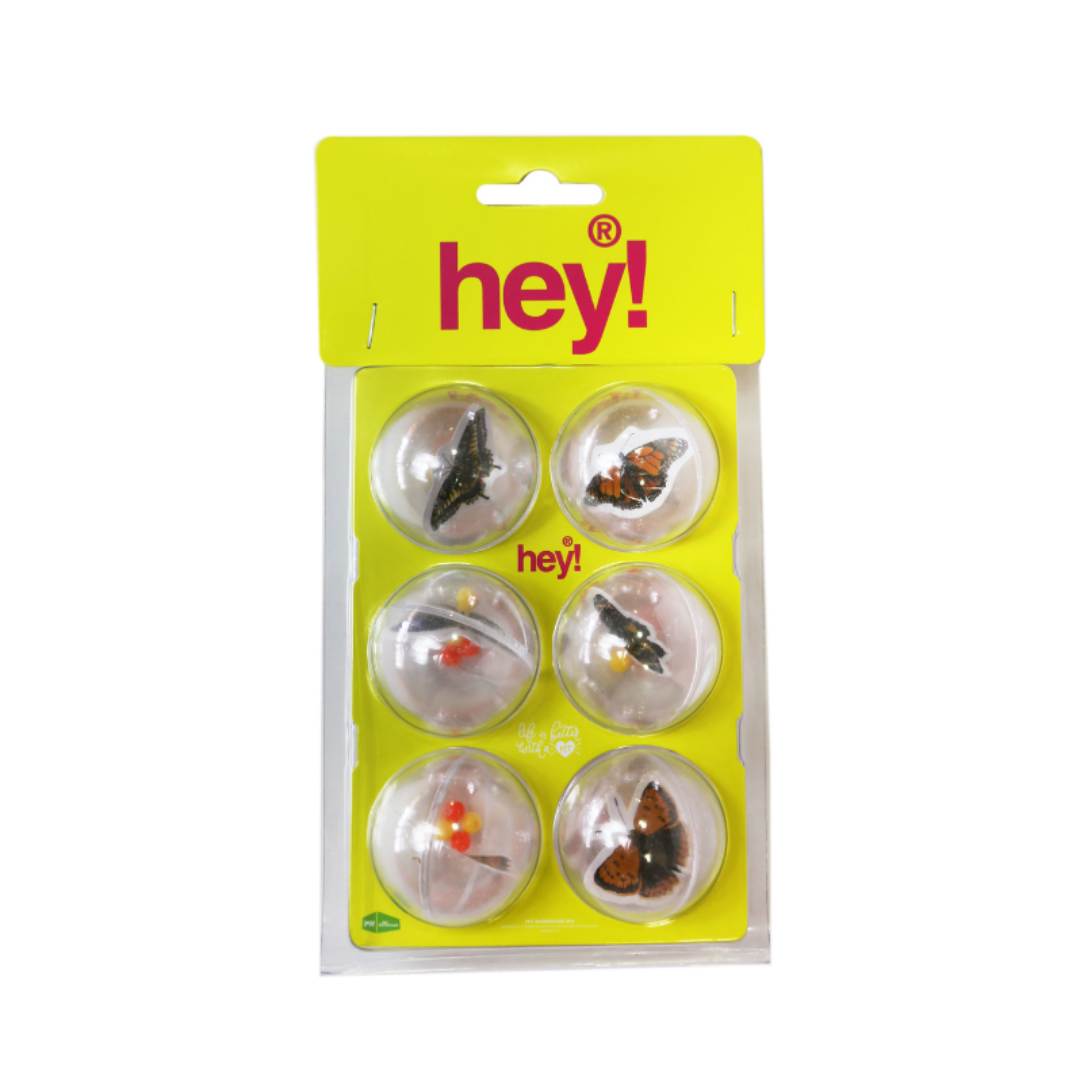 HEY! PELOTAS CON INSECTOS PACK 6 UNID