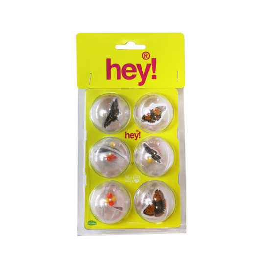 HEY! PELOTAS CON INSECTOS PACK 6 UNID