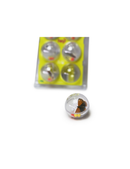HEY! PELOTAS CON INSECTOS PACK 6 UNID