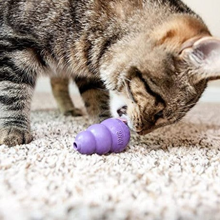 KITTY KONG
