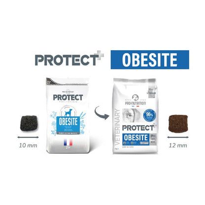 PRO-NUTRITION PERRO PROTECT OBESITE CANINO